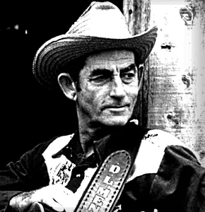 D.L. Menard